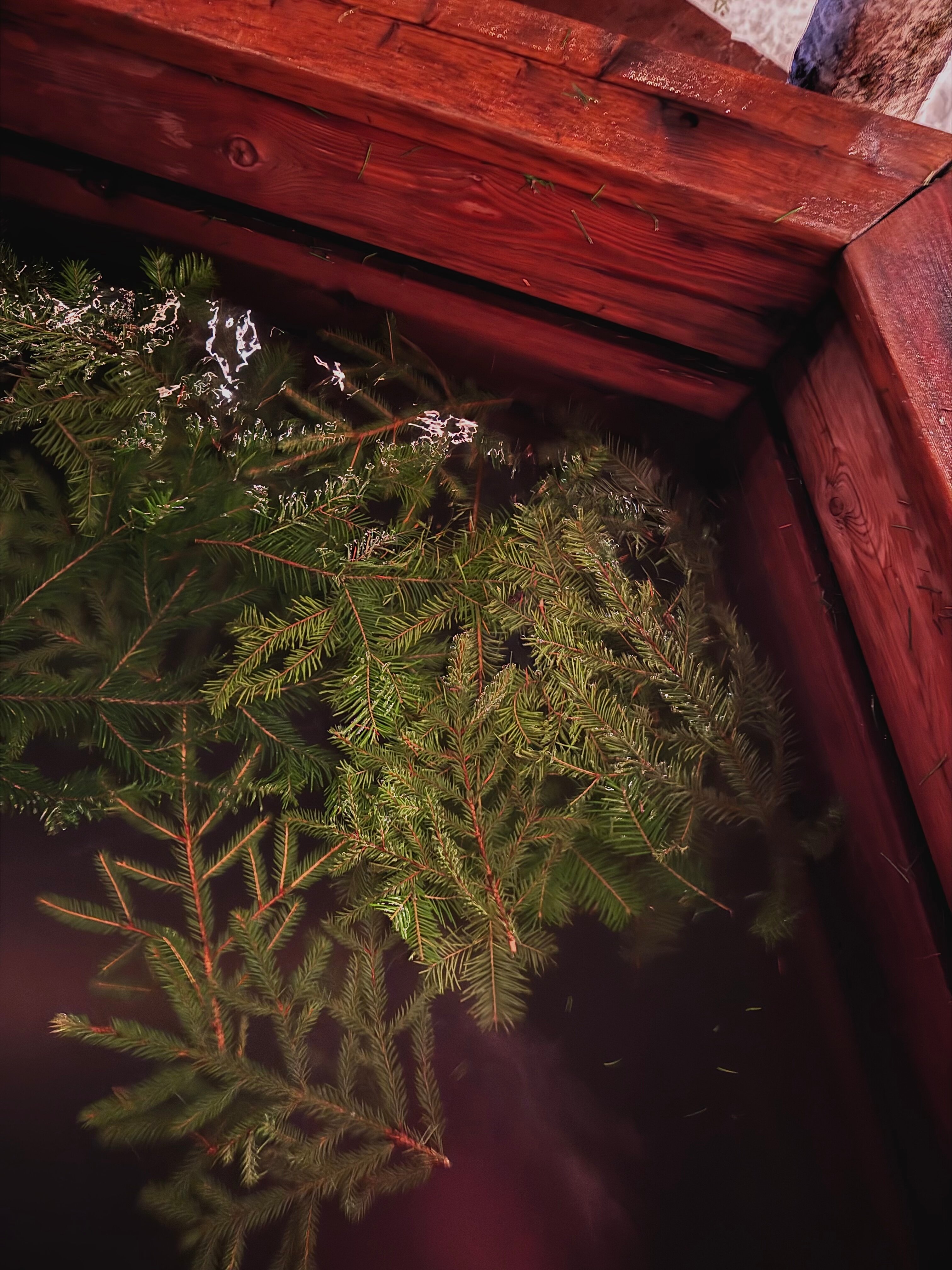 Фото Лес'Ок