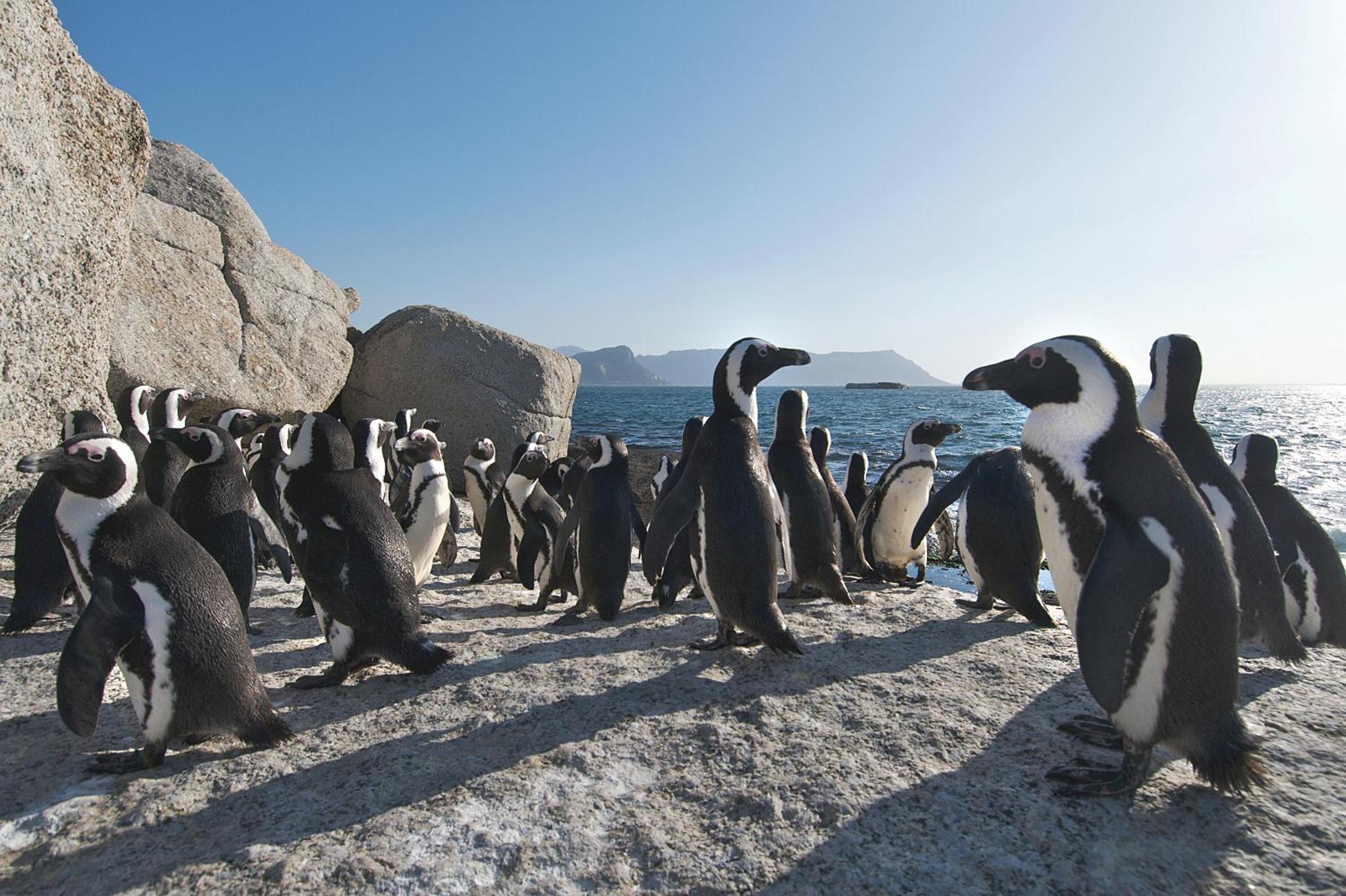 Фото 702 Canal Quays