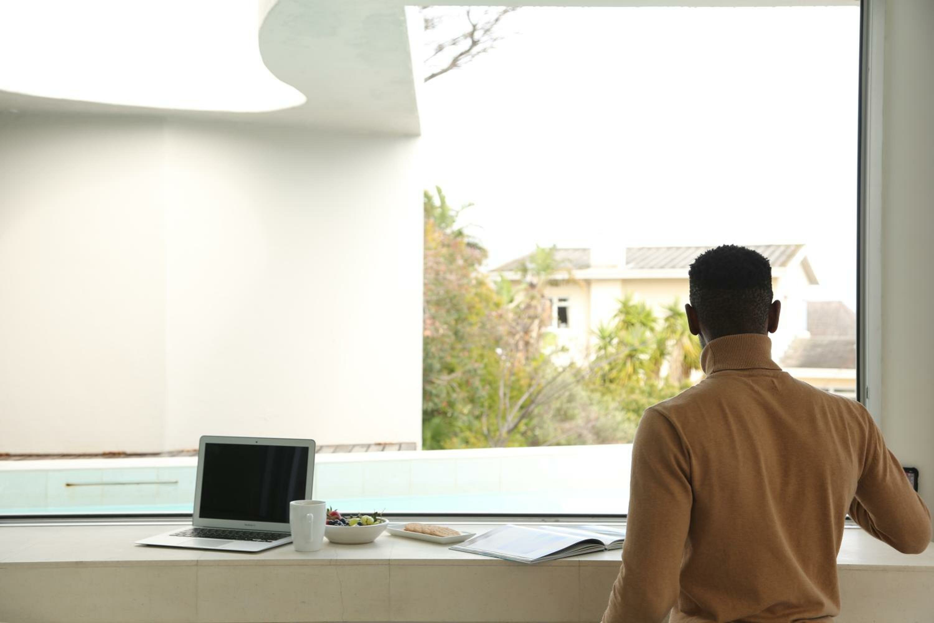 Фото Lion's View