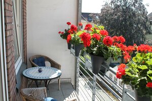 Гостиница Hotel Windthorst