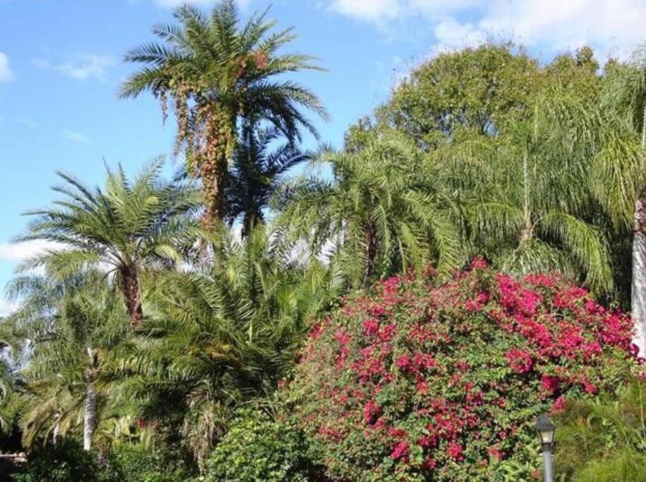 Фото Park Shore Resort