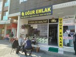 Ugur Real Estate (Istanbul, Atasehir, Esatpasa Neighborhood, Ziyapasha Avenue, 107A), real estate agency