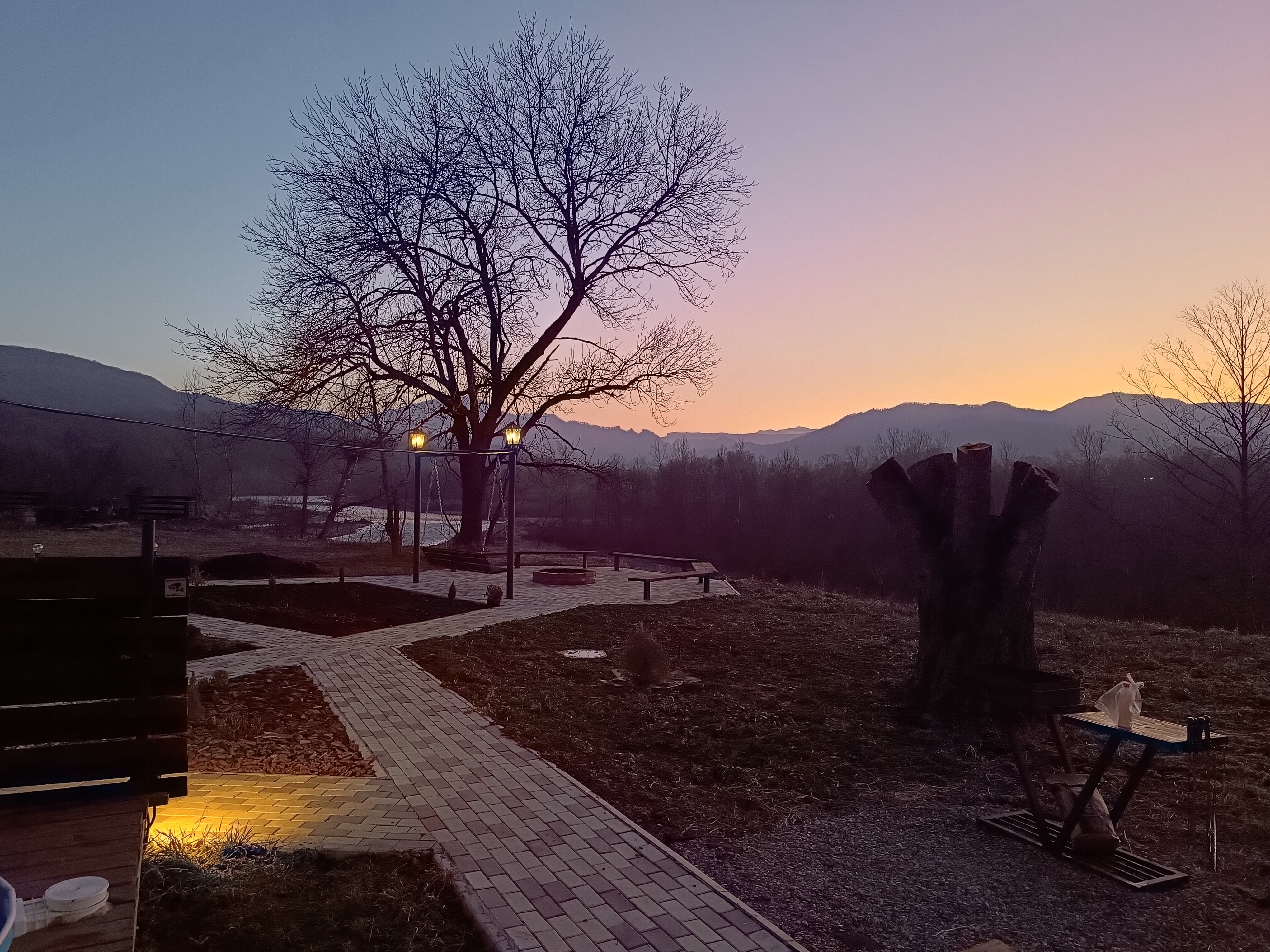 Фото Feshin Forest