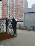 Новое шоссе, 11 (Московская область, Ленинский городской округ, посёлок городского типа Дрожжино, Новое шоссе), остановка общественного транспорта в Москве и Московской области