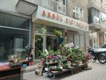 Akgul Florist (Izmir, Balcova, Fevzi Cakmak Neighborhood, Ali Reis Street, 3A) ، محل زهور