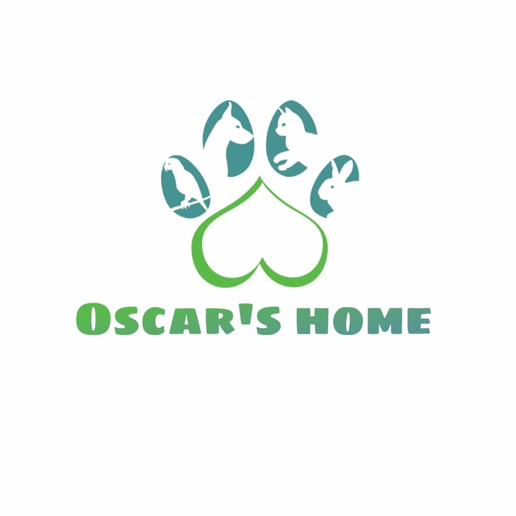 Pet shop Oscars Home, Yerevan, photo