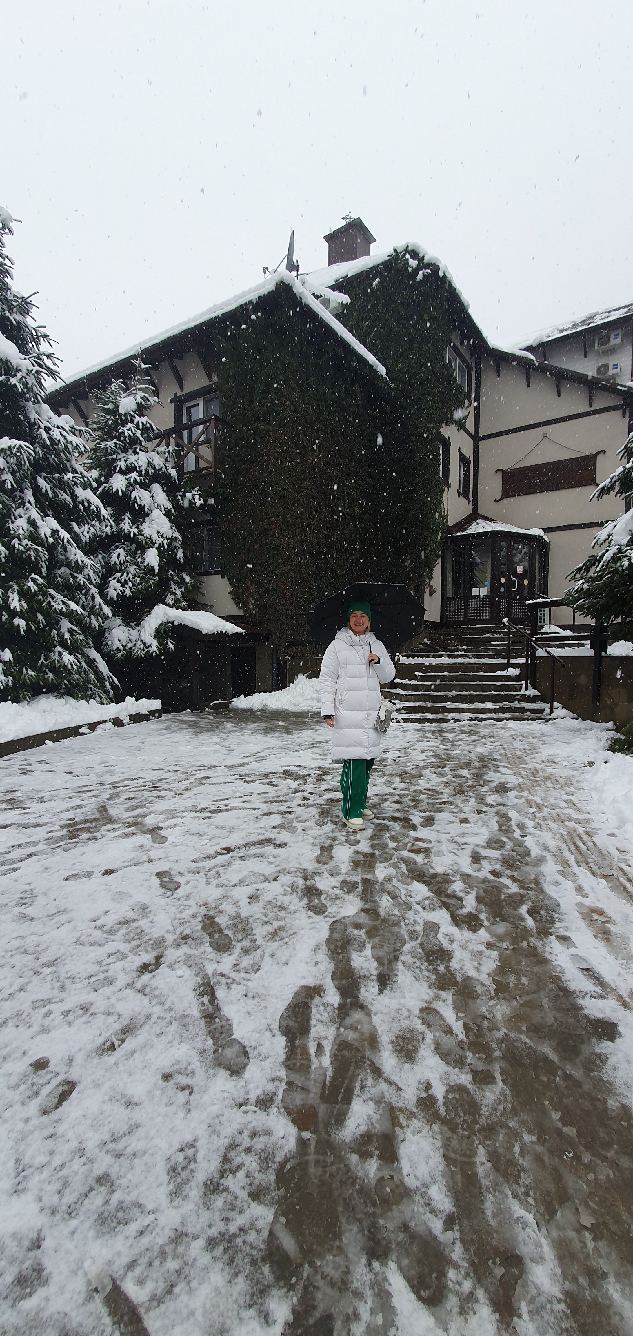 Фото Альпийский Двор