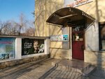 Excel Study Abroad (ул. Александр Пушкин, 45), обучение за рубежом в Кишиневе