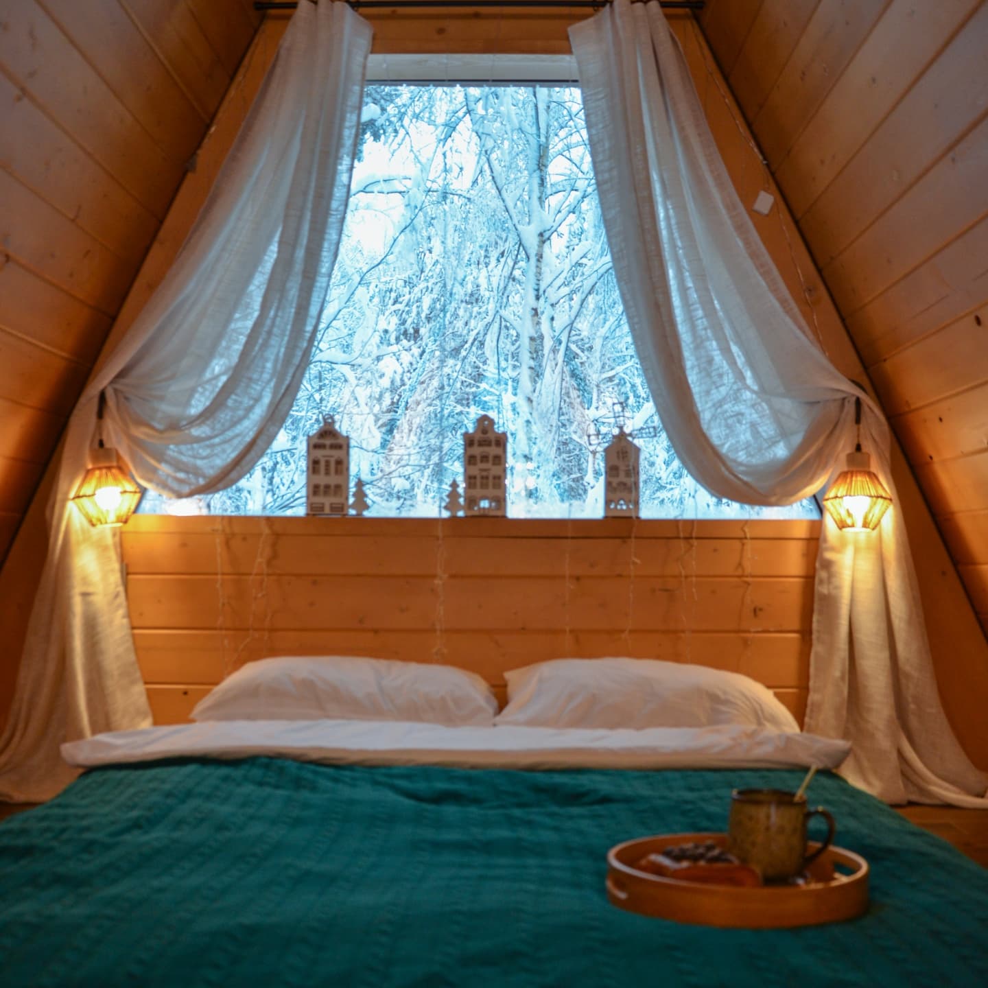 Фото Шишки Парк