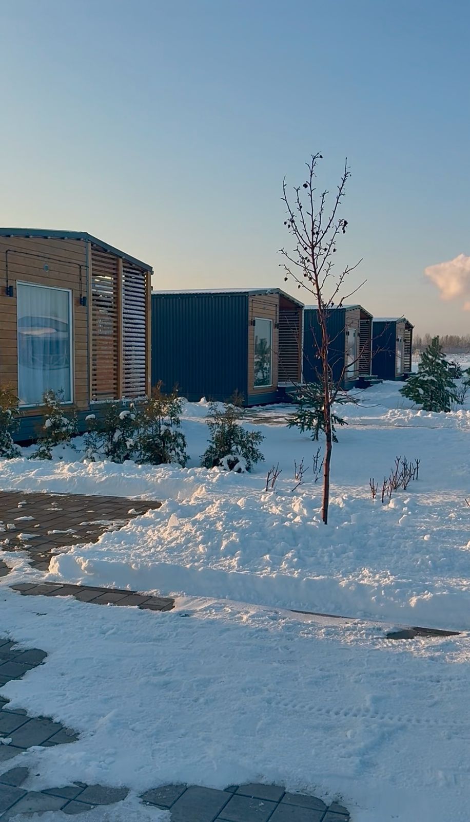 Фото Лисицкий парк