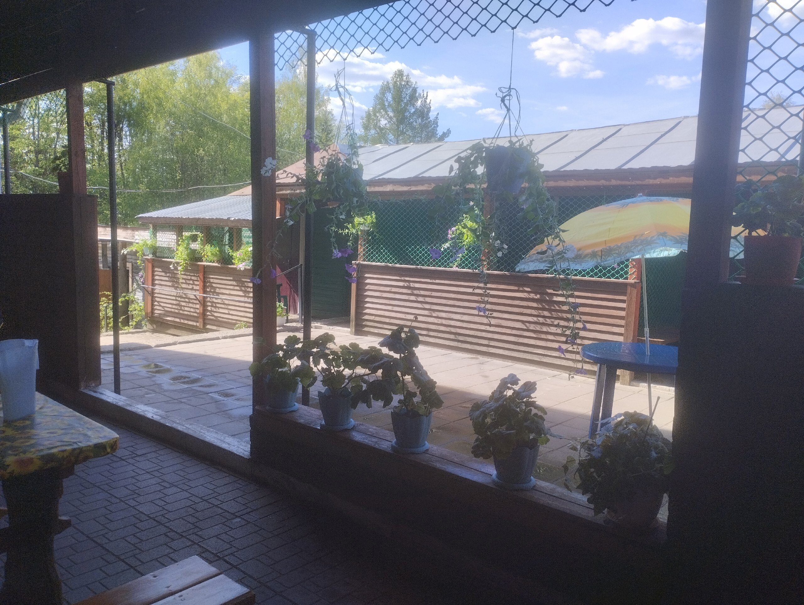 Фото Луманская заводь