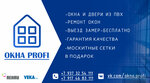 Profi (rabochiy posyolok Chishmy, Revolyutsionnaya ulitsa, 86), windows