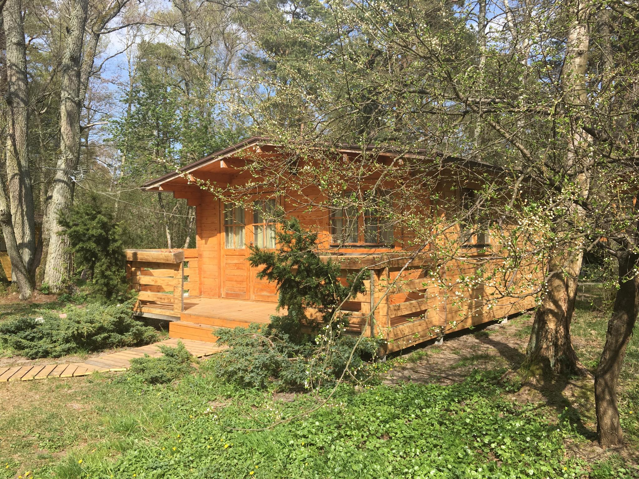 Фото ВитТех