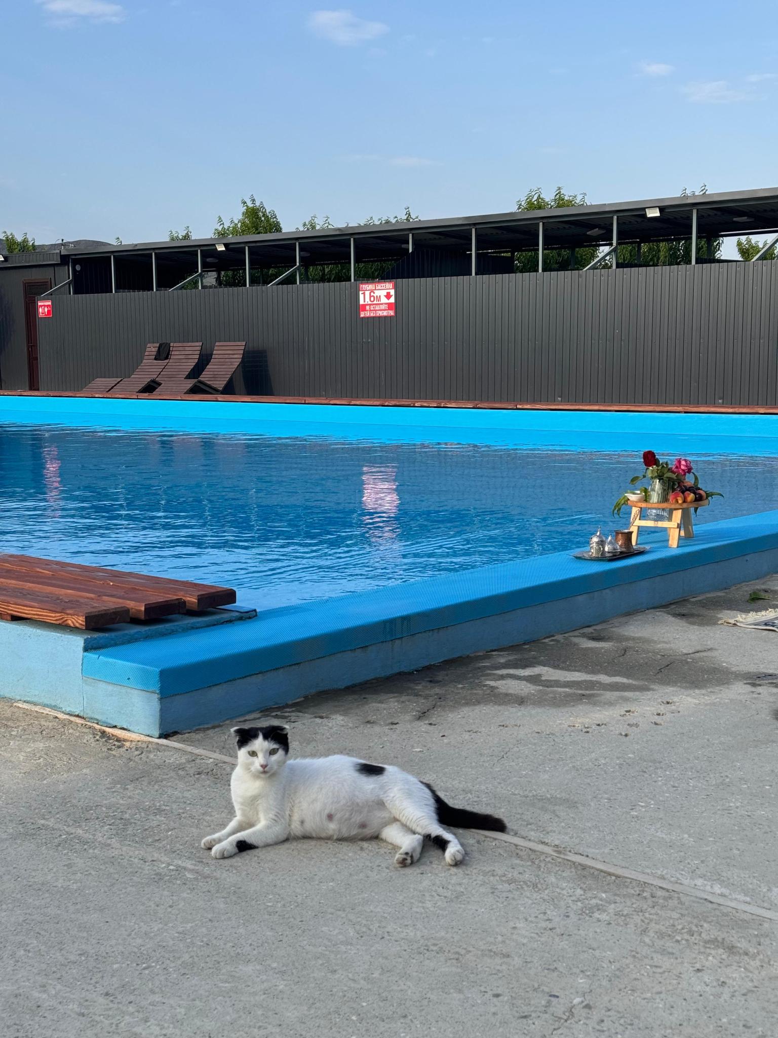 Фото Персиковый Остров