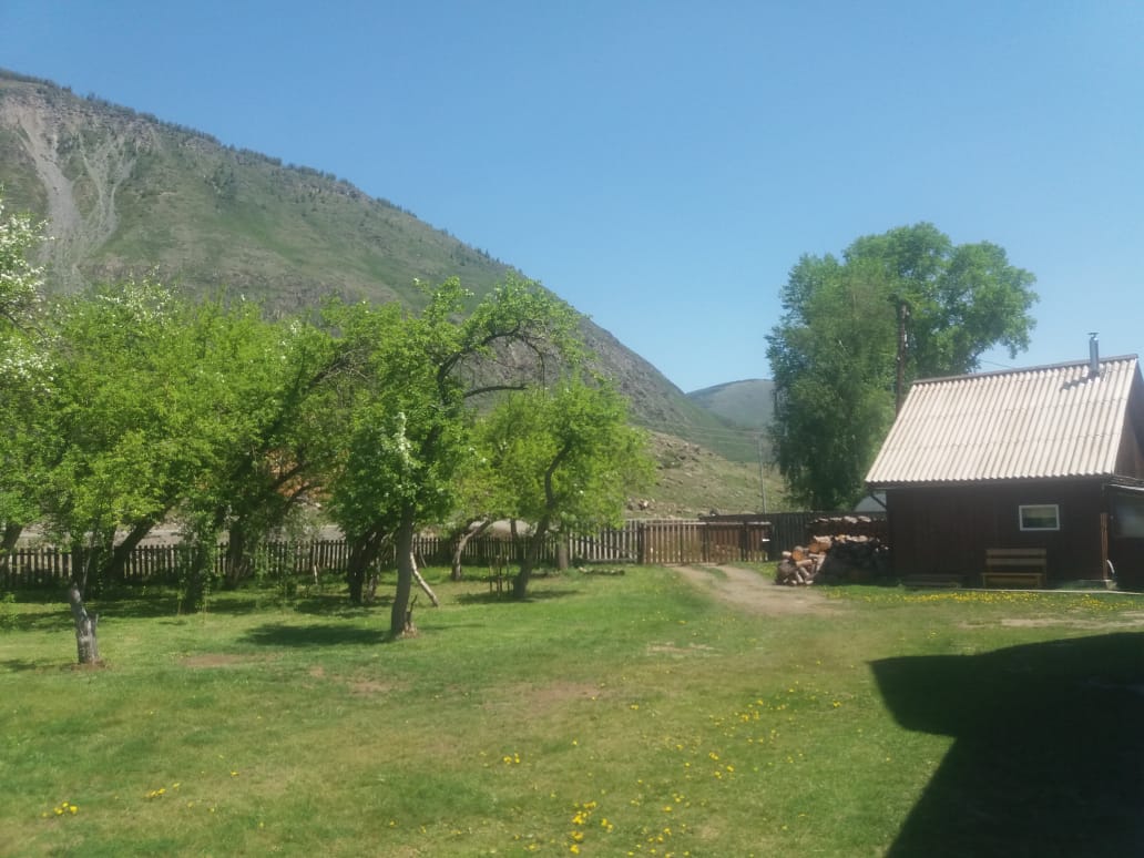 Фото У Александра