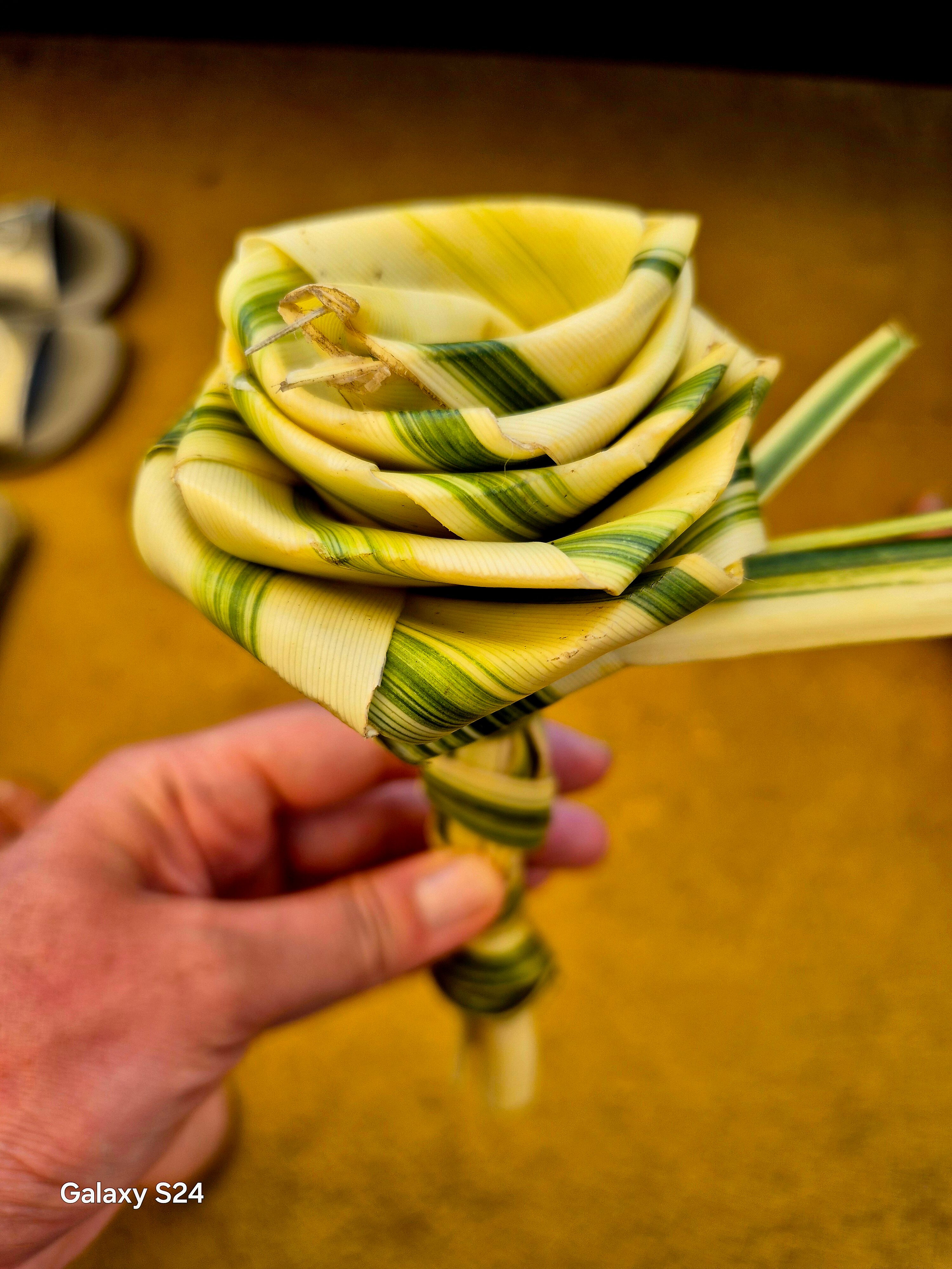 Фото Grand Beach