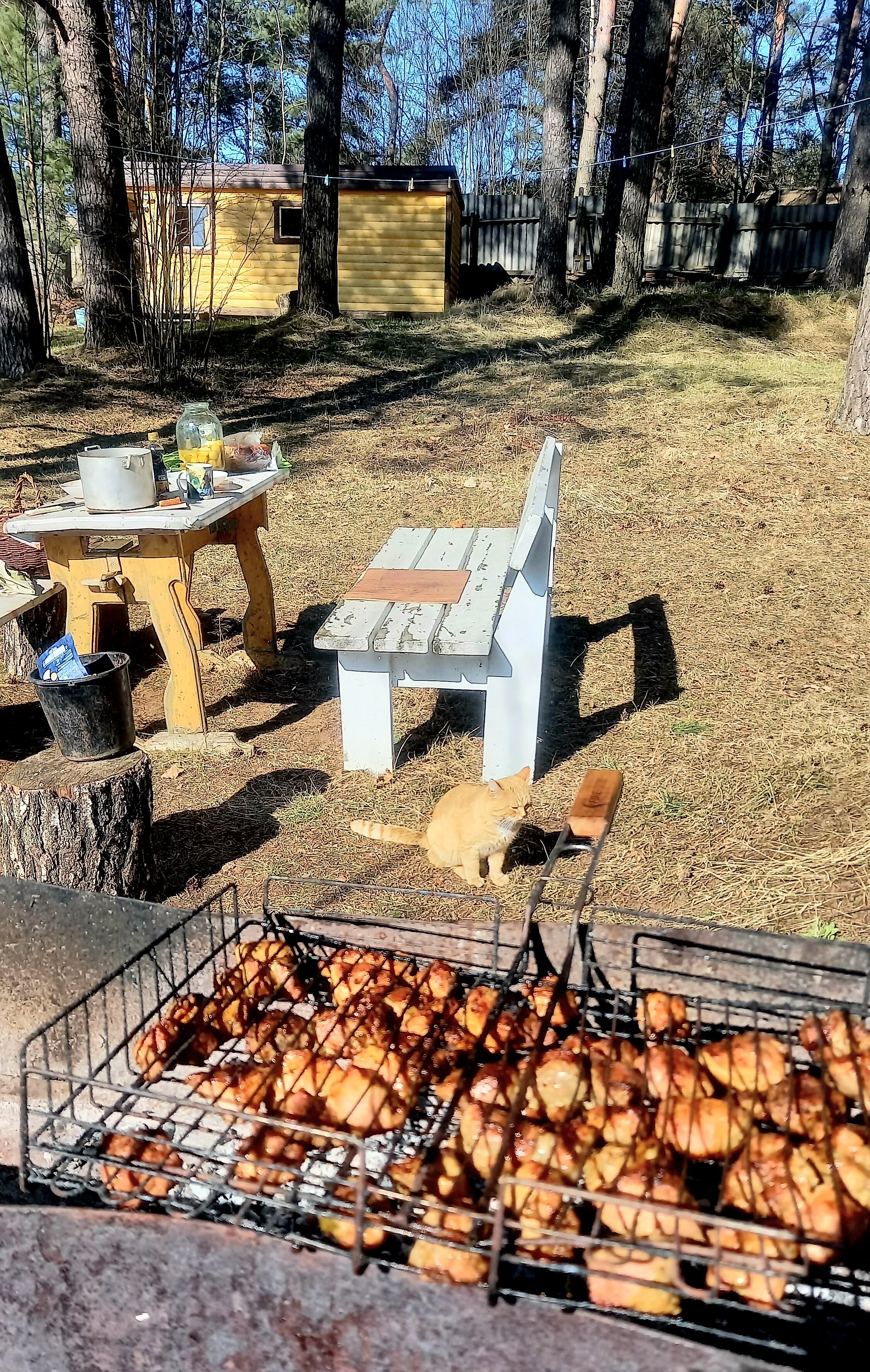 Фото Дом у сосен