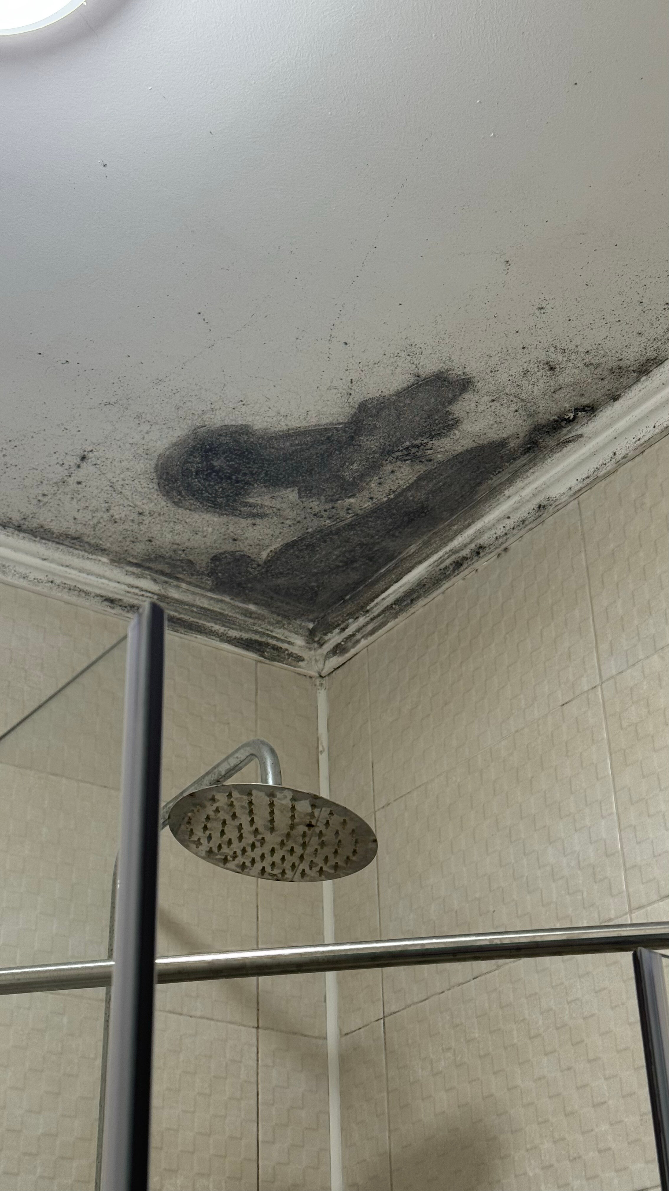 Фото Надежда