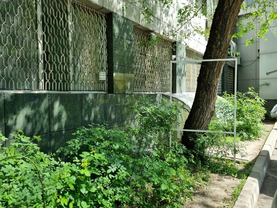 Food ice Ice king, Almaty, photo