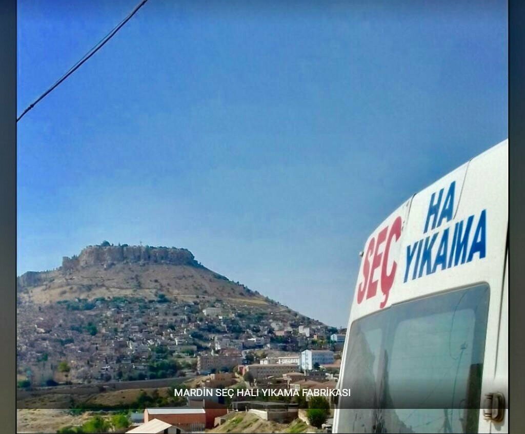 Carpet cleaning Sec Hali Yikama, Nusaybin, photo