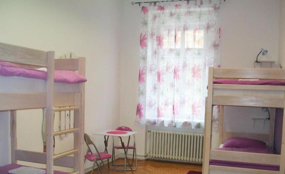 Фото Hostel Chameleon