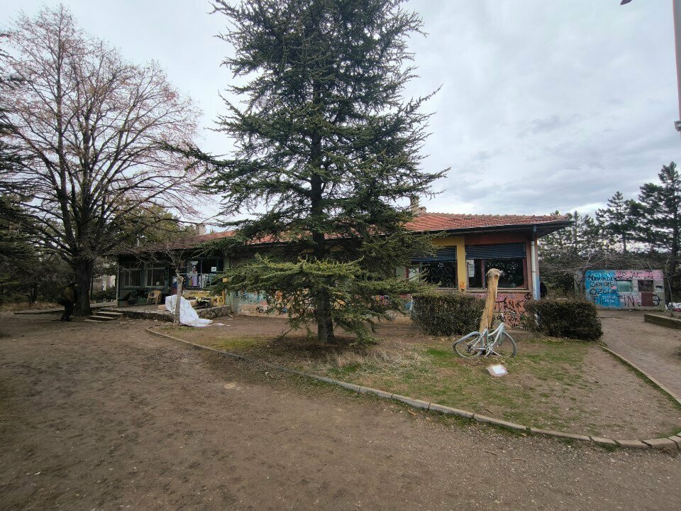 Community organization Metu Baraka Student Communities, Ankara, photo