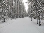 Лыжный стадион Черемушки (ulitsa Gogolya, 13), ski lodge