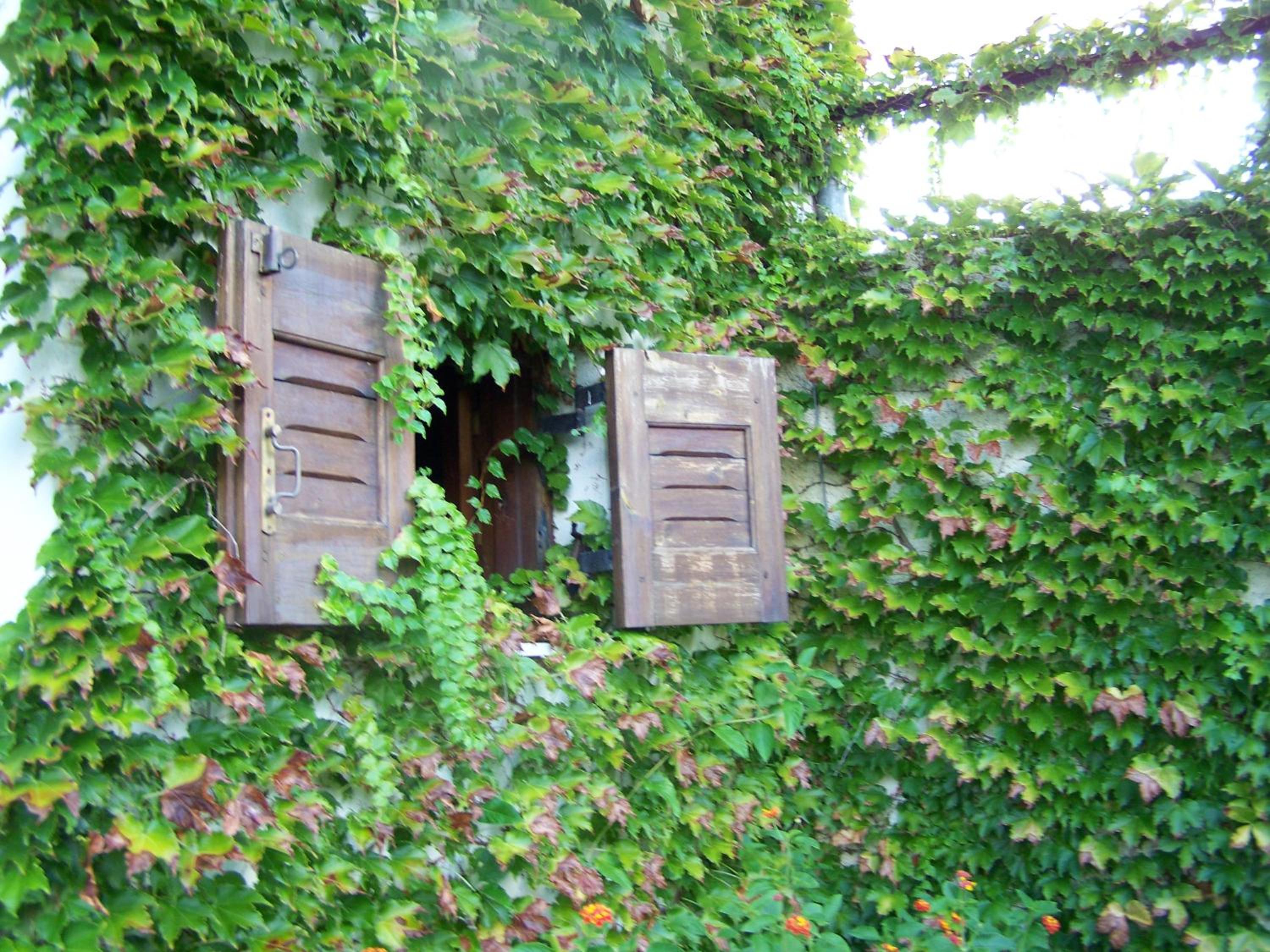 Фото Villa Anna Maria