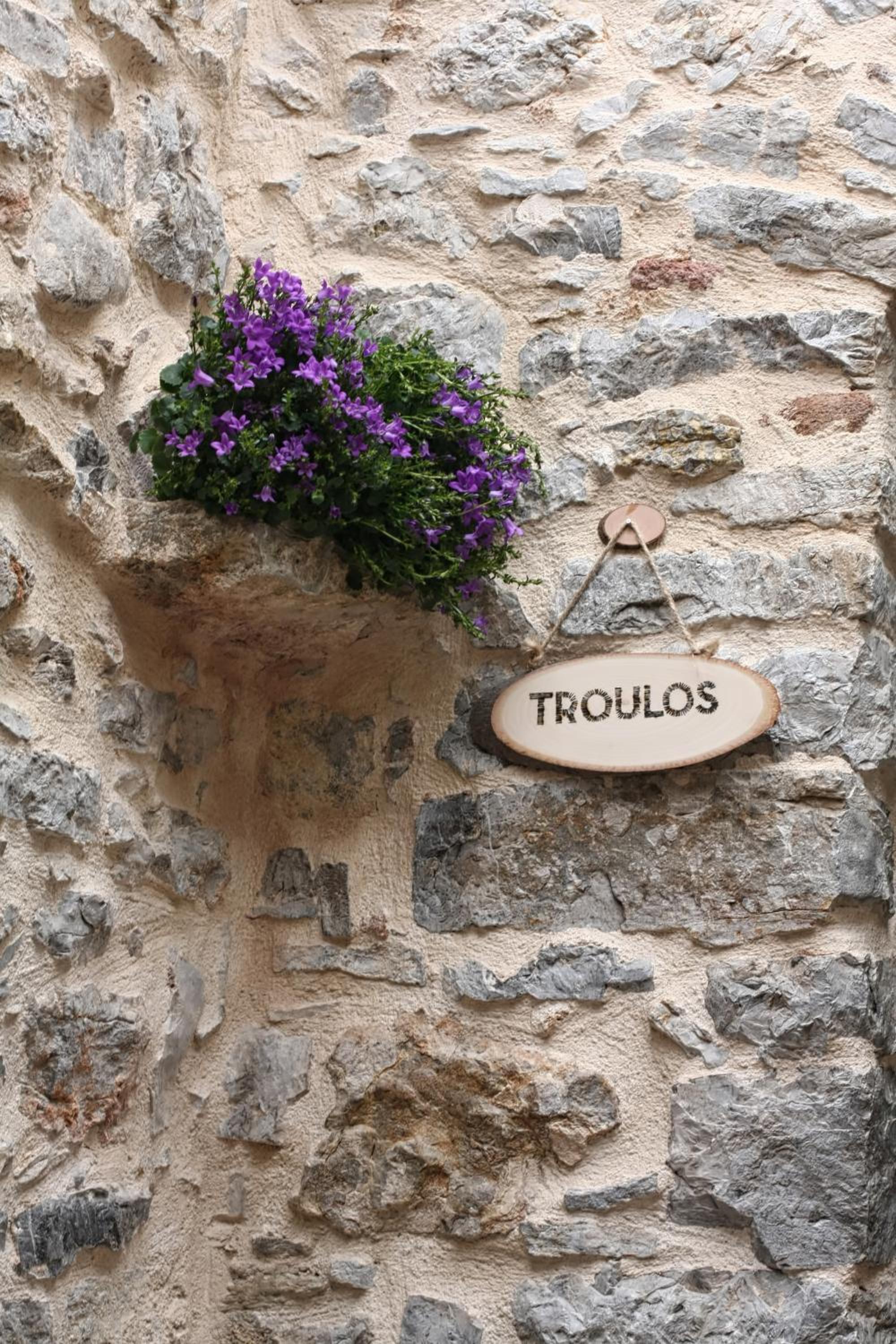 Фото Mesta Mastic