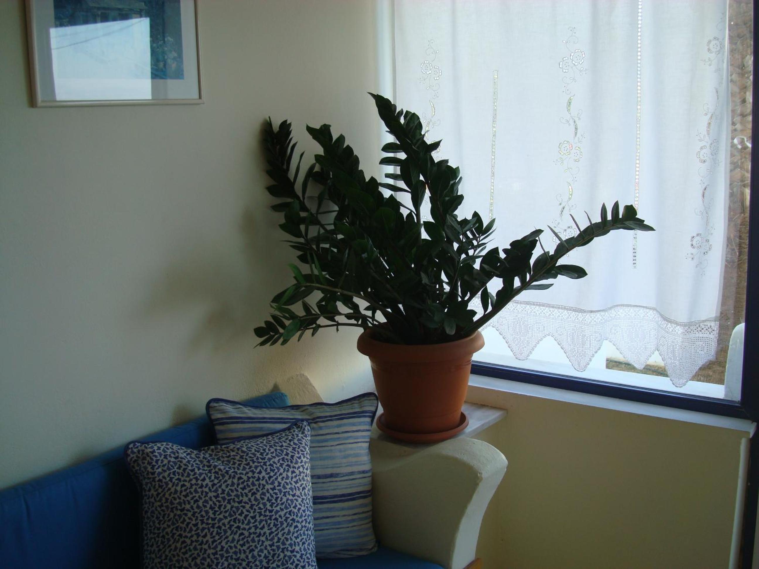 Фото Philippos Studios