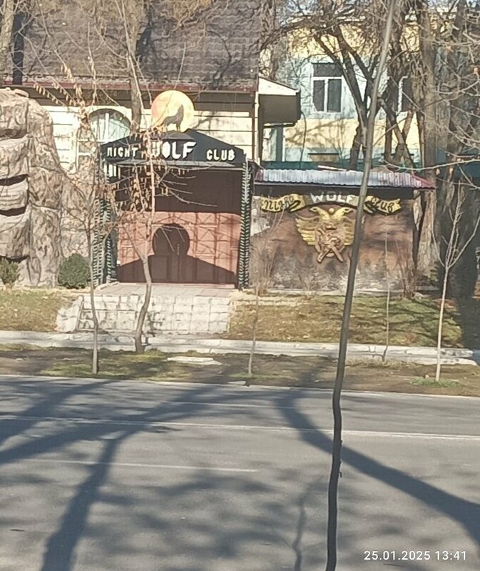 Tungi klubda it uslubidagi odamlarning fotosuratlarini koring