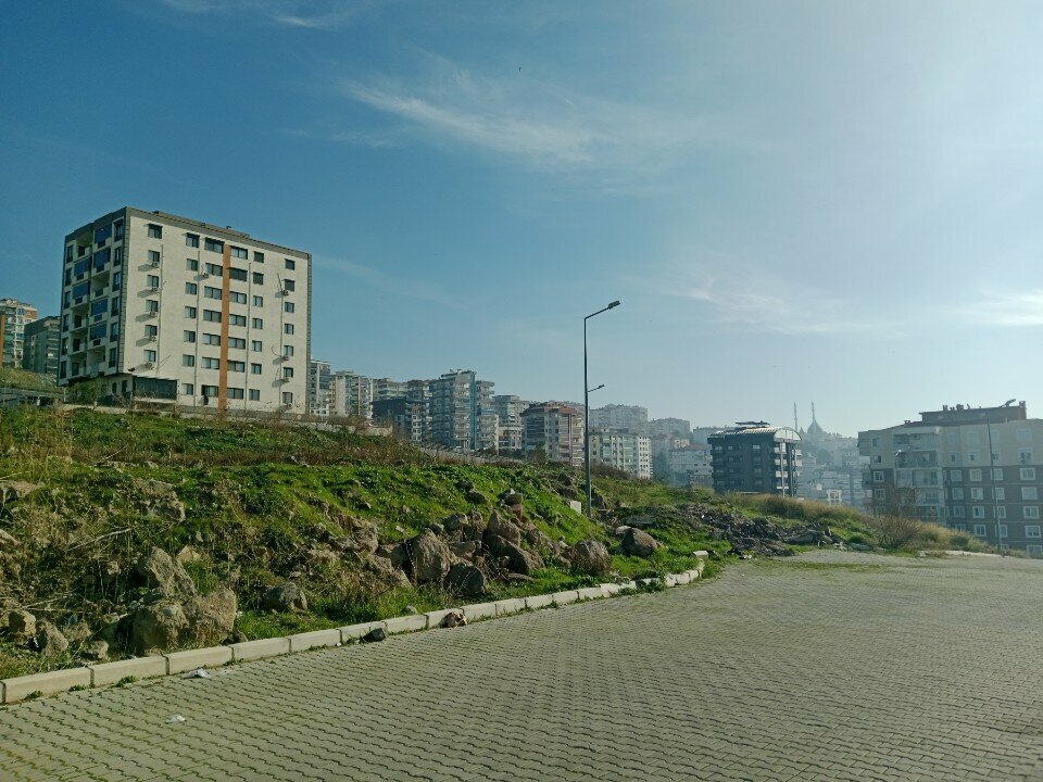 Pet shop Benimpetim.com, Izmir, photo