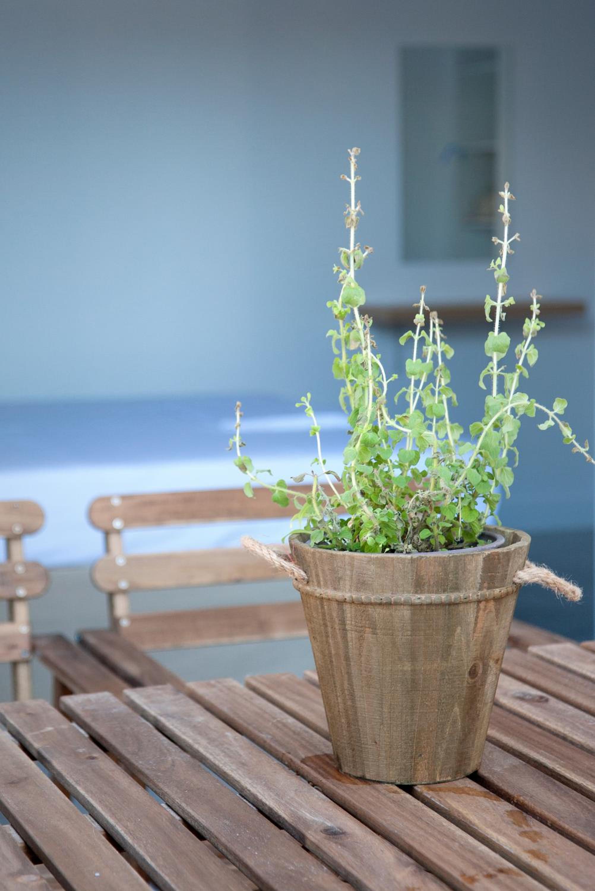 Фото Axos Apartments