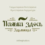 Здравница Пиявки здесь (бул. Ибрагимова, 19), нетрадиционная медицина в Уфе