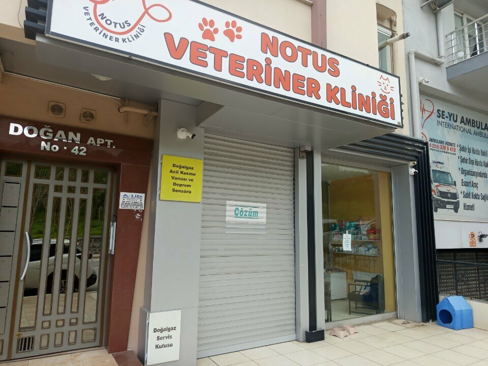 Veterinary clinic Notus, Izmir, photo