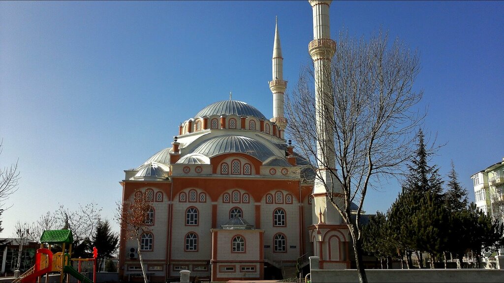 Mosque Gariphafiz Mosque, Merzifon, photo
