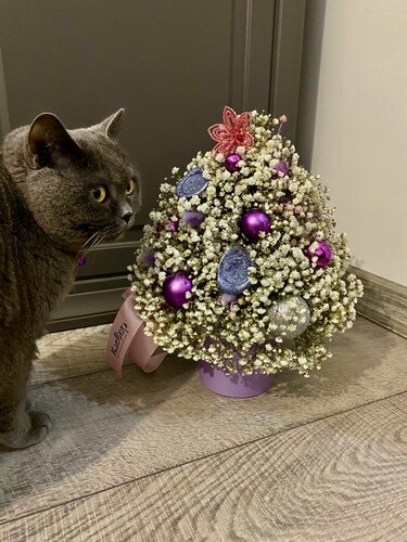 Цены «Клевер» в Нальчике — Яндекс Карты