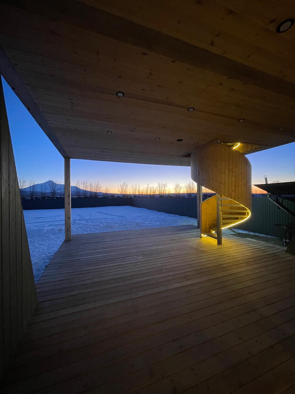 Фото Жимолость