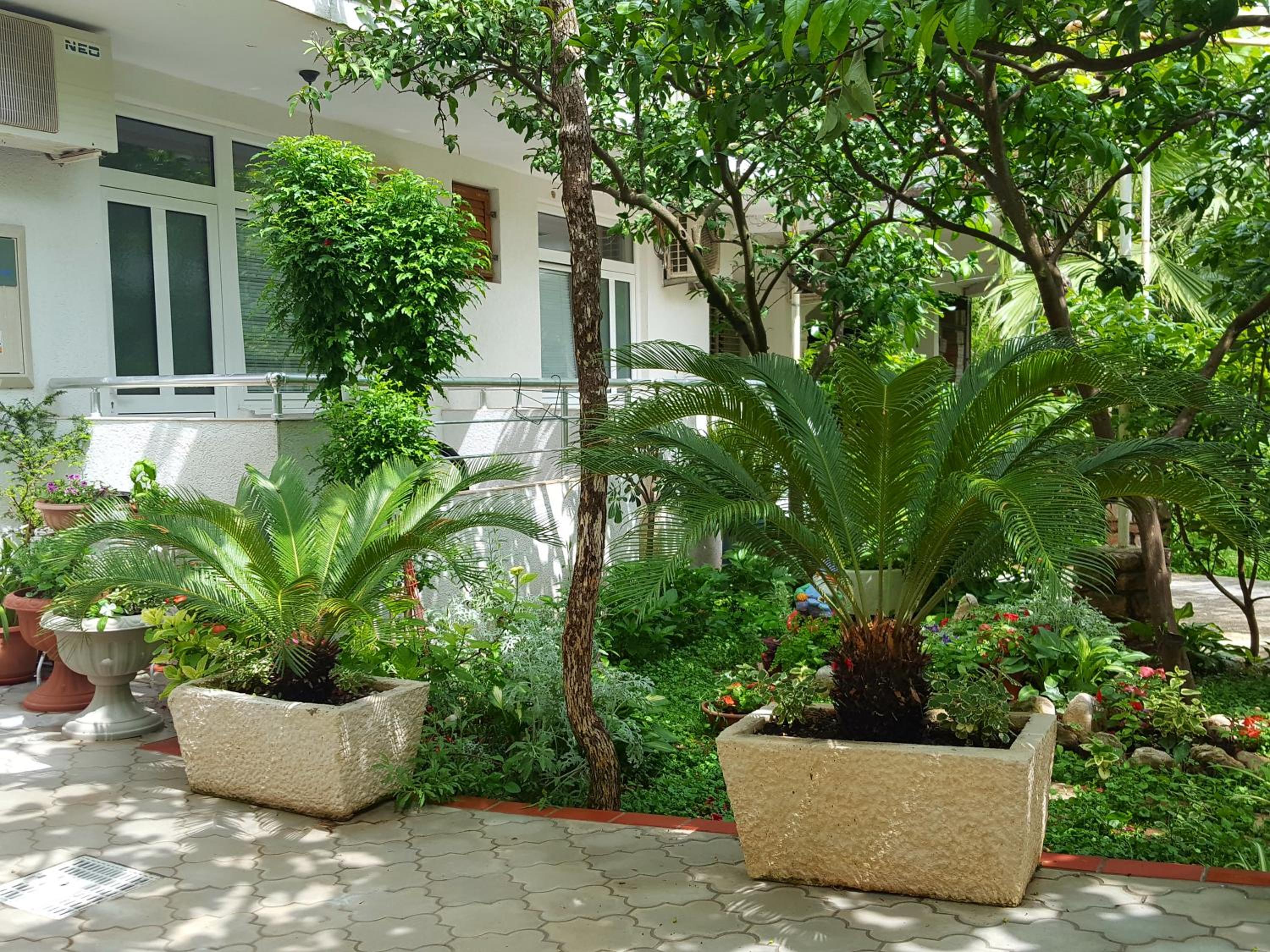 Фото Апартаменты Bonik