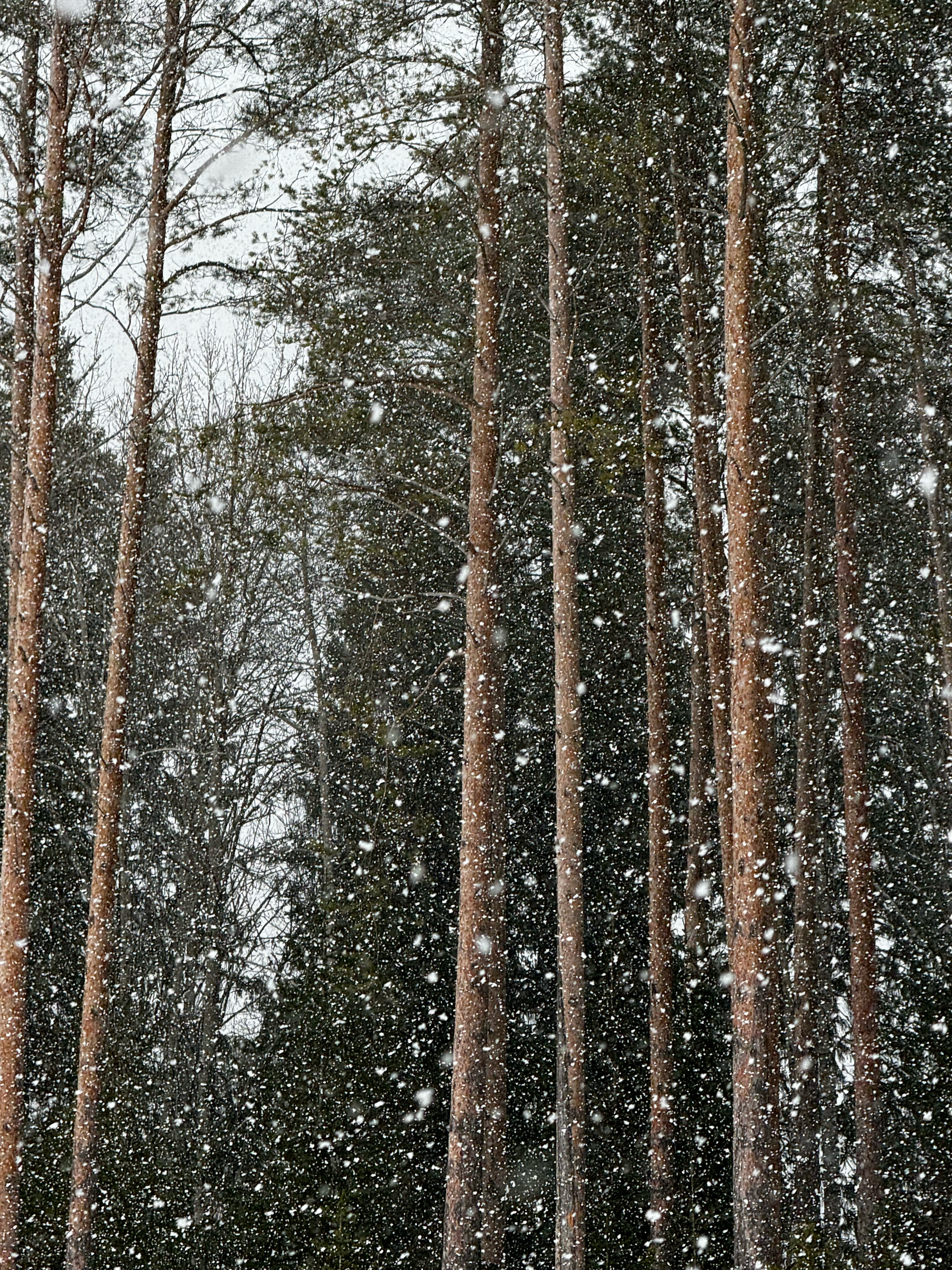 Фото ОнегаStory