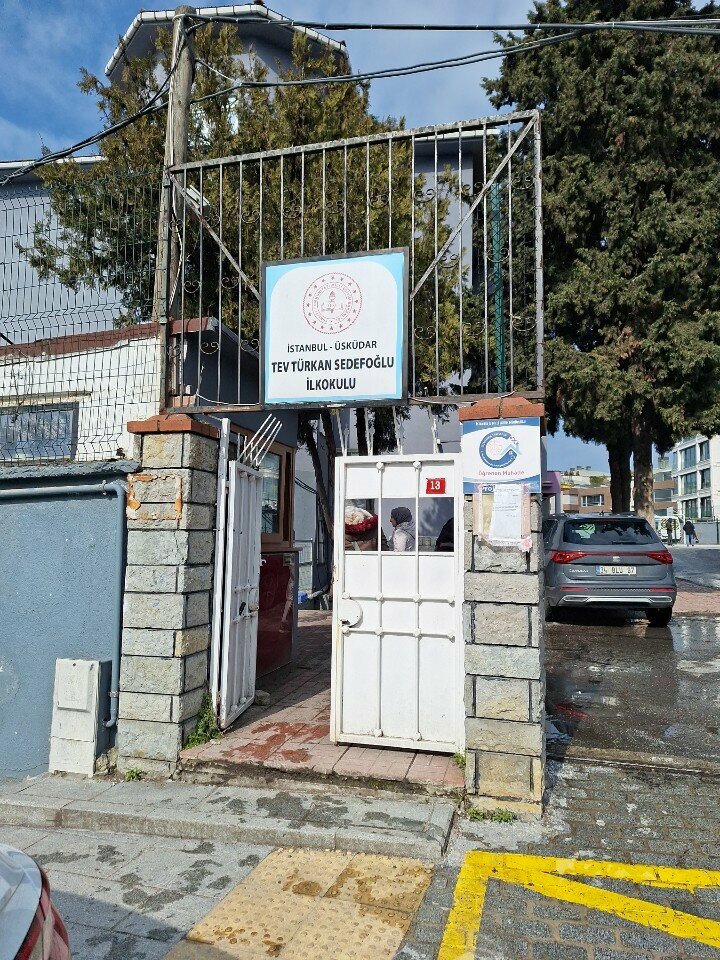 مدرسة ابتدائية Turkish Education Foundation Turkan Sedefoglu Primary School ، اسطنبول، صورة