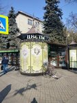 Flora (Tsentralniy City administrative district, Tsentralniy Microdistrict, Mira Street, 47), flower shop