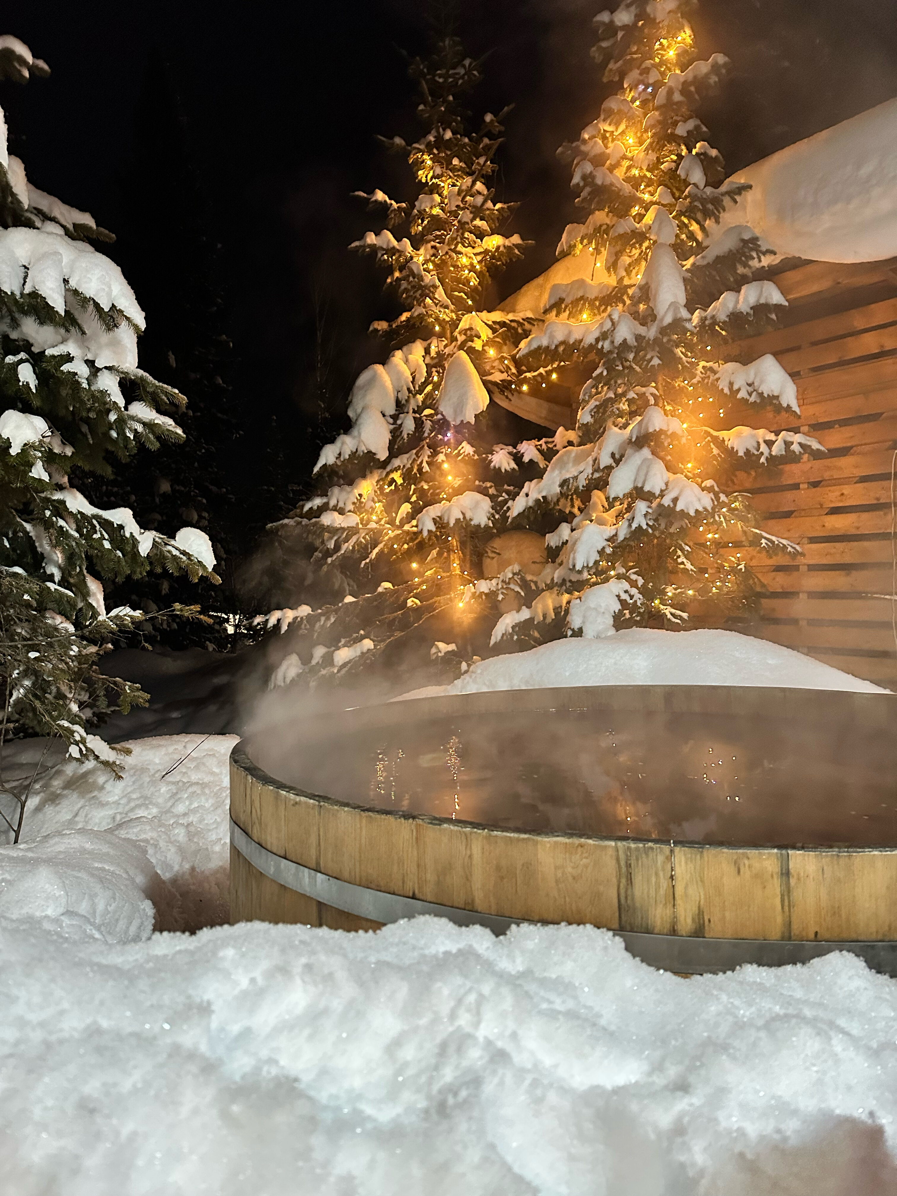 Фото Альпика Хаус