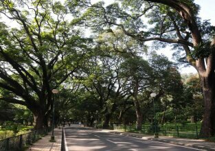 Фото Ibis Bengaluru Outer Ring Road