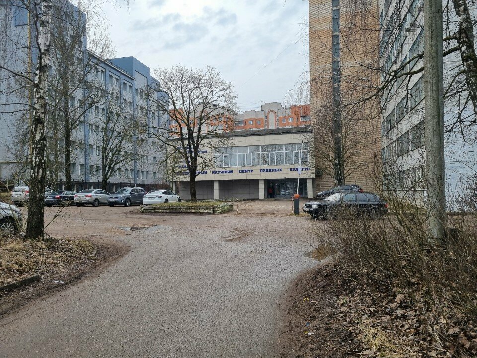 Permanent makeup studio Визажист, Smolensk, photo