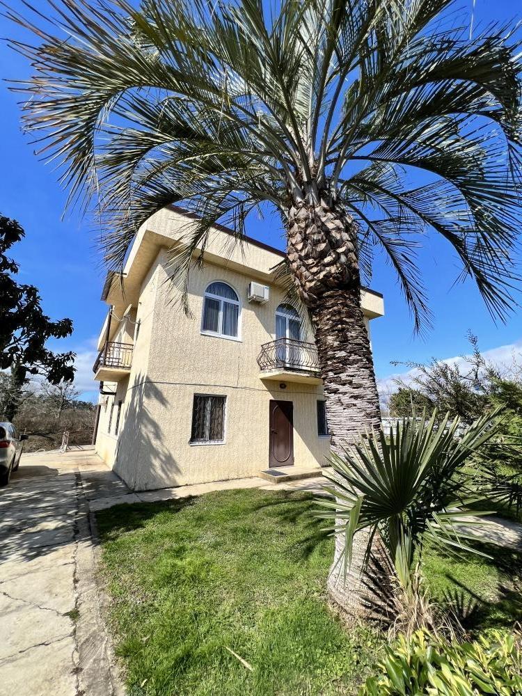 Фото Эвкалипт