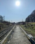 81 км (Tula Region, Suvorovskiy rayon, selskoye poseleniye Severo-Zapadnoye, posyolok Cherepet), train station