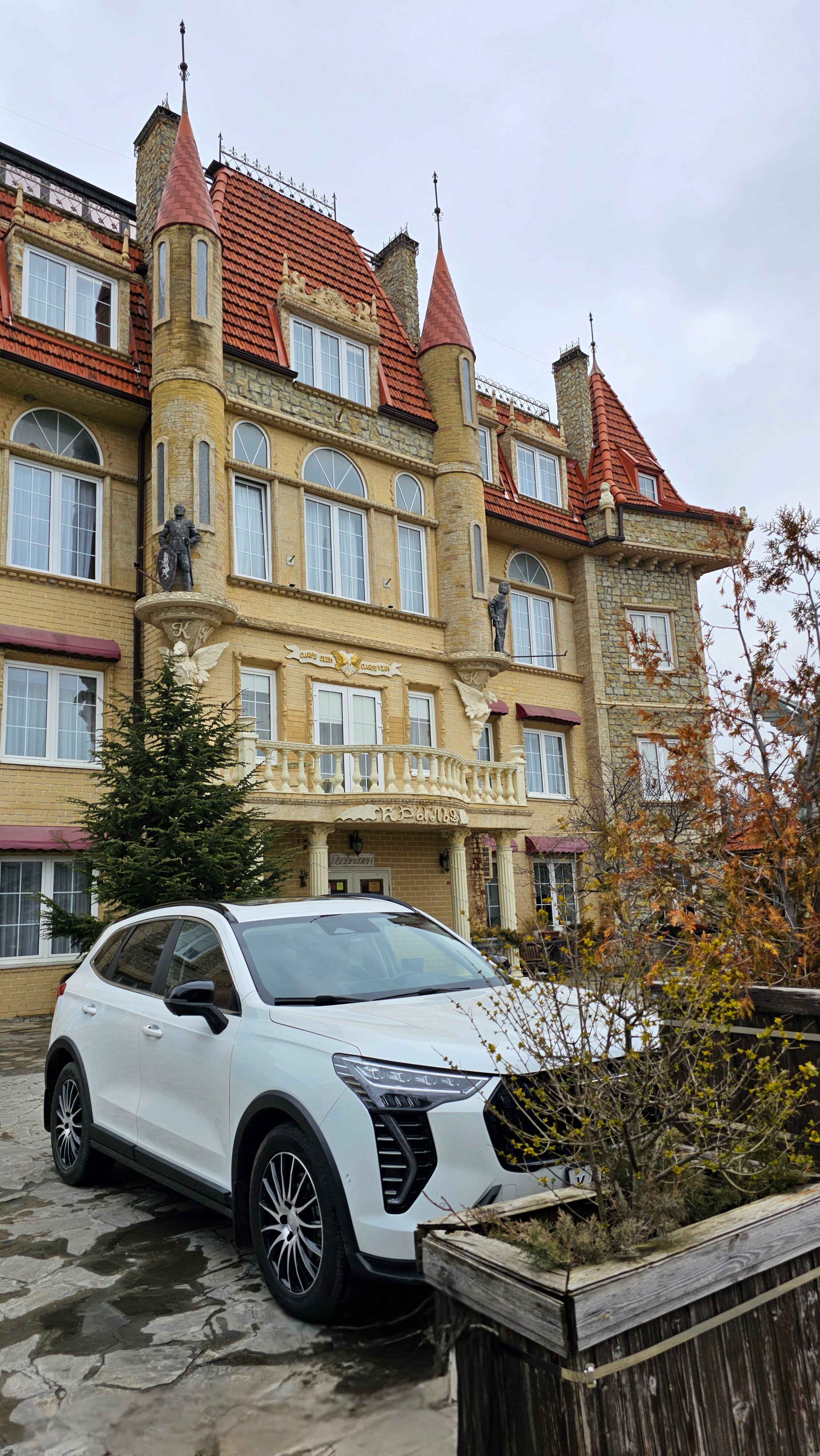 Фото Крылья