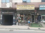 Flash Floristry (Istanbul, Bagcilar, Hurriyet Neighborhood, 86th Street, 2D), floristeria