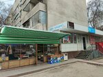 Toy Store (Tastaq-2 shaǵyn aýdany, 33) ، دمى وألعاب